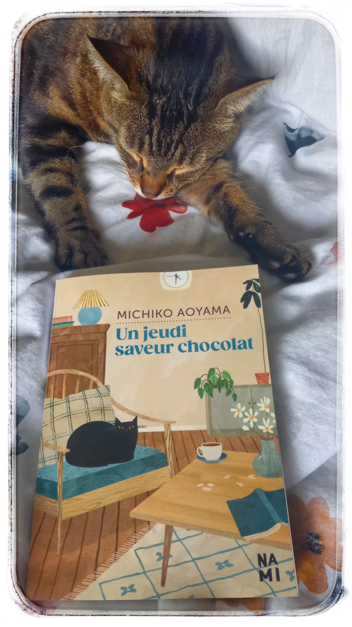Un jeudi saveur chocolat » de Michiko AOYAMA – Sonia boulimique des livres  – Blog littéraire – Chroniques